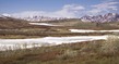 US2025 011DenaliNP.jpg