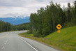 US2025_069 MooseXing2.jpg