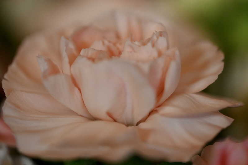 Ballet.jpg :: Ballet