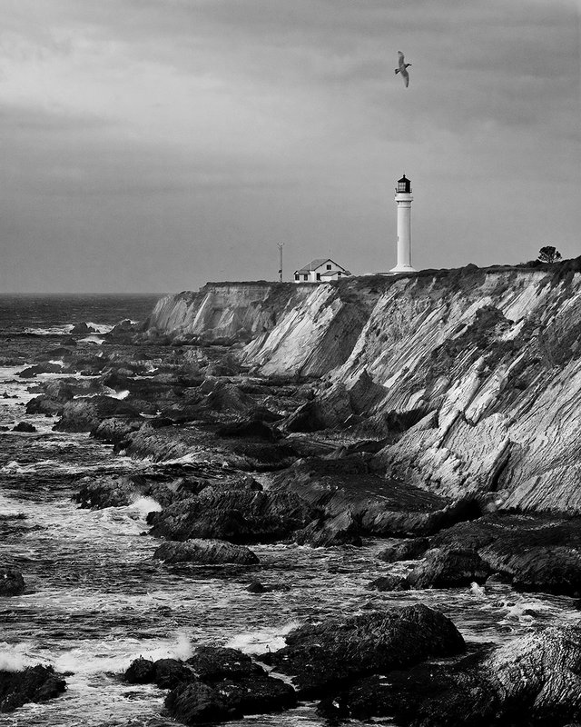 Calm Before the Storm BW.jpg