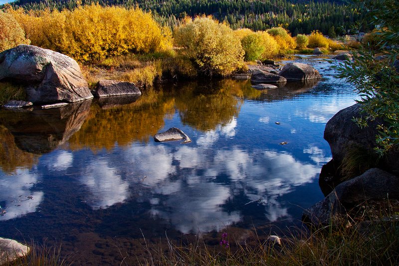 Carson River Gold 001.jpg