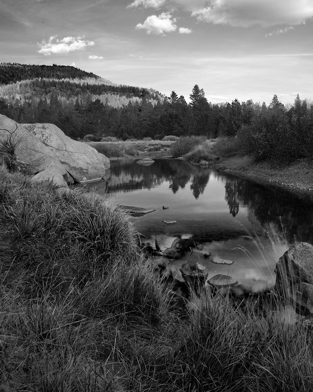 Carson River Gold 005 BW.jpg