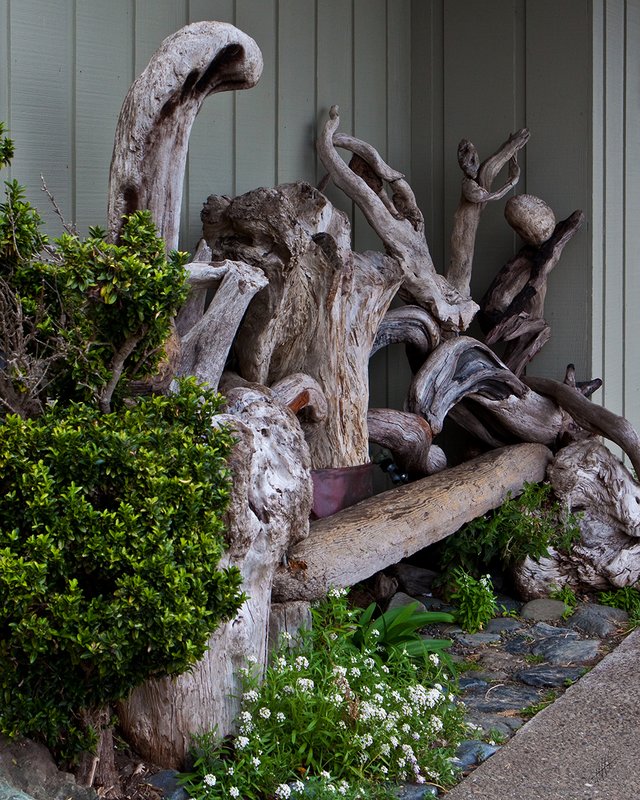 Free-Form Driftwood Bench 01.jpg