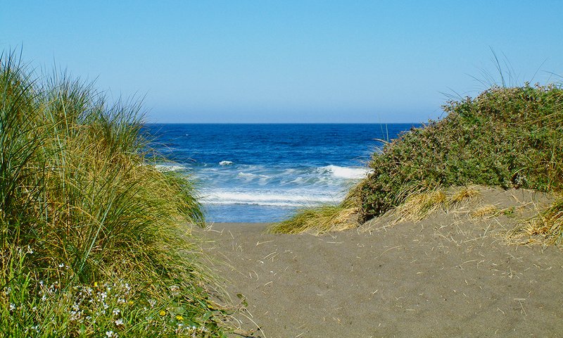 Manchester Dunes 002.jpg