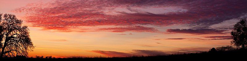 Oak Woodland Sunset 001.jpg