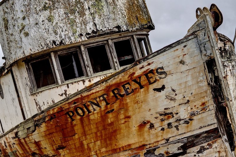 Point Reyes_0618.jpg