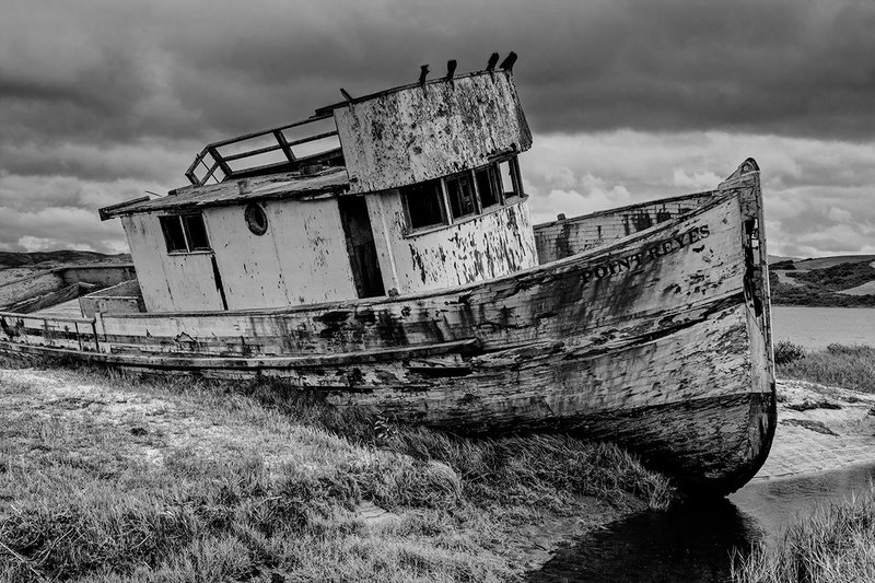 Point Reyes_0630_BW.jpg