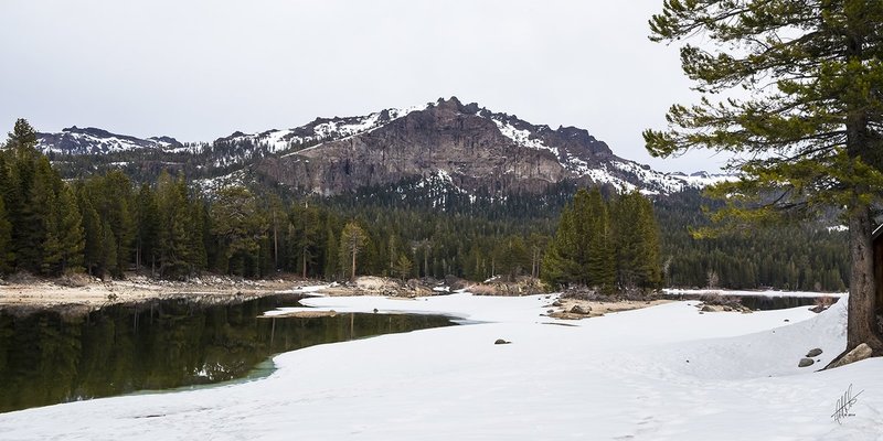 Reflecting On The Thaw.jpg