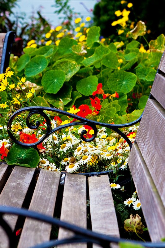 Relaxing Image 026b.jpg