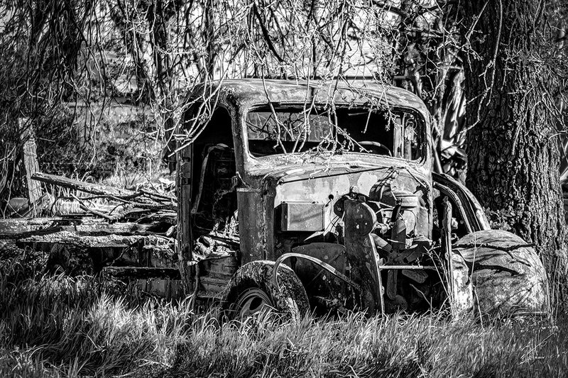 Resigned from the Road BW.jpg :: An old truck left to rust away...  Perhaps a retirement, after many faithful years of service.  May she find solace under the shade of the mighty oak, while her fenders are gently caressed by the wind blown grassy field.
