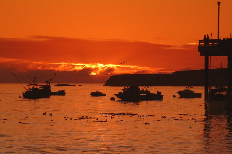 Sunset Lovers 03.jpg
