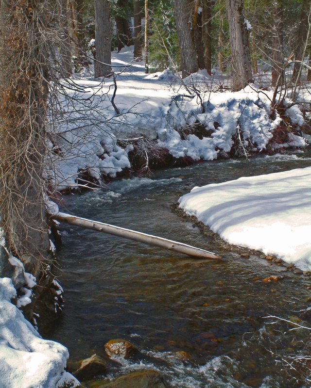 Tahoe Stream 01.jpg