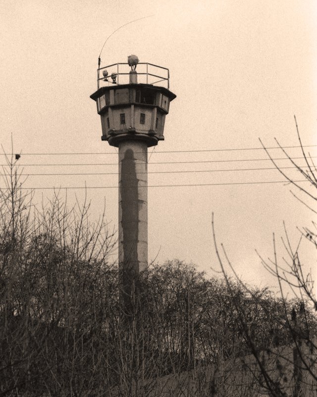 The Watcher 00 - Upload.jpg