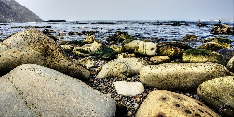 Crabs Eye Arena Cove 01.jpg