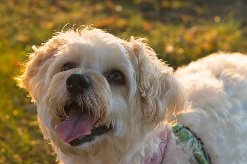 DSC_4355 copy(1).jpg