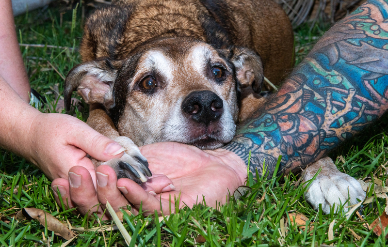 DSC_8016 copy(1).jpg