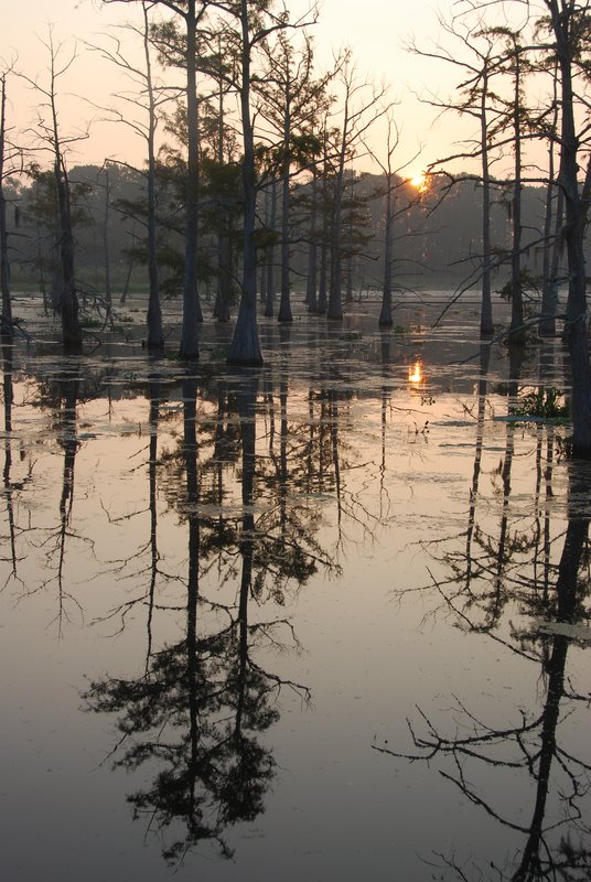 Black Bayou 08 001.jpg