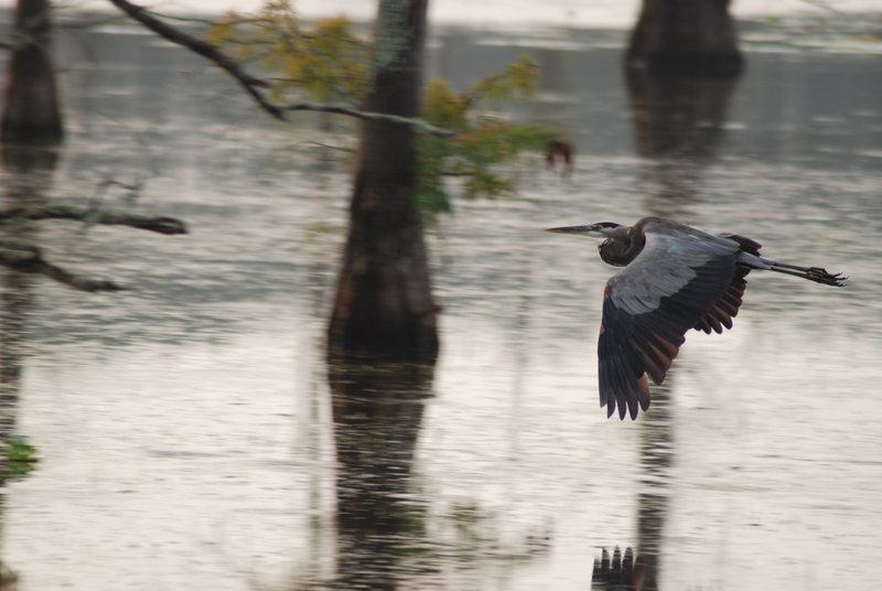 Upper Ouachita 8-07 119.jpg