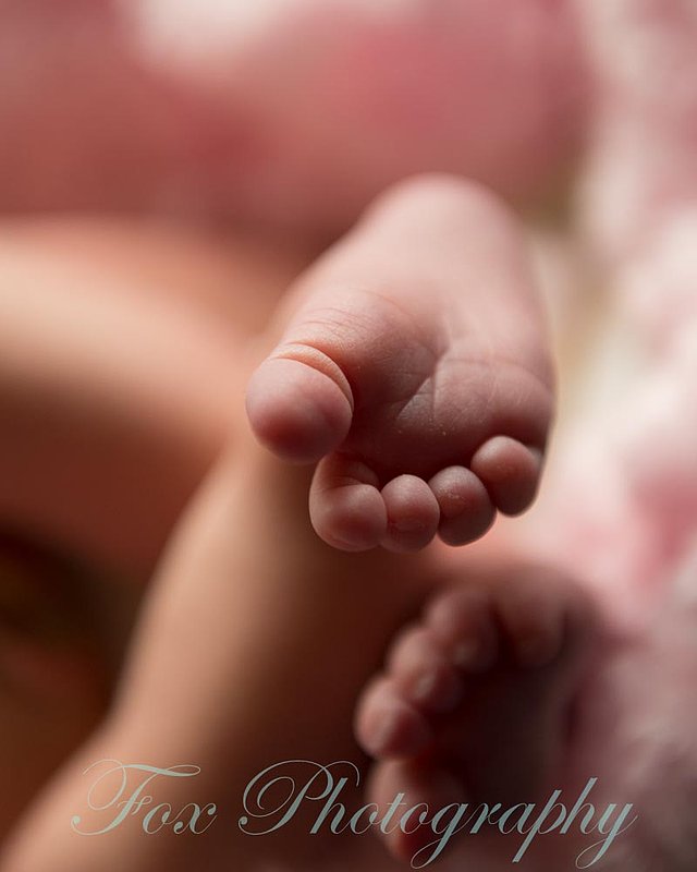 Newborn Baby toes.jpg