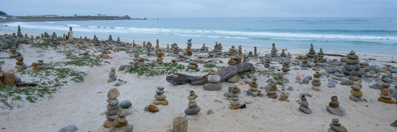 Spanish Bay Beach_efox.jpg