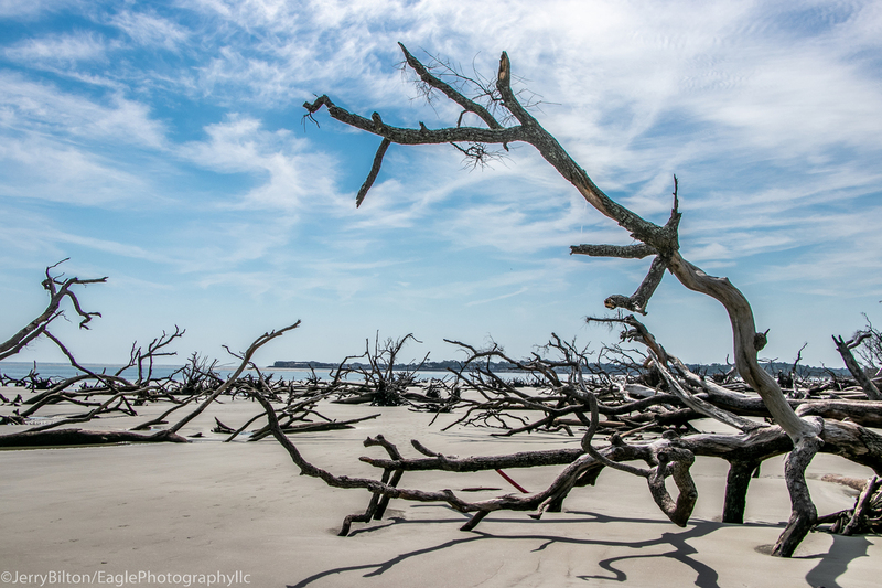 Boneyard at Huntington State Park-001.jpg