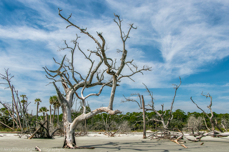 Boneyard at Huntington State Park-002.jpg