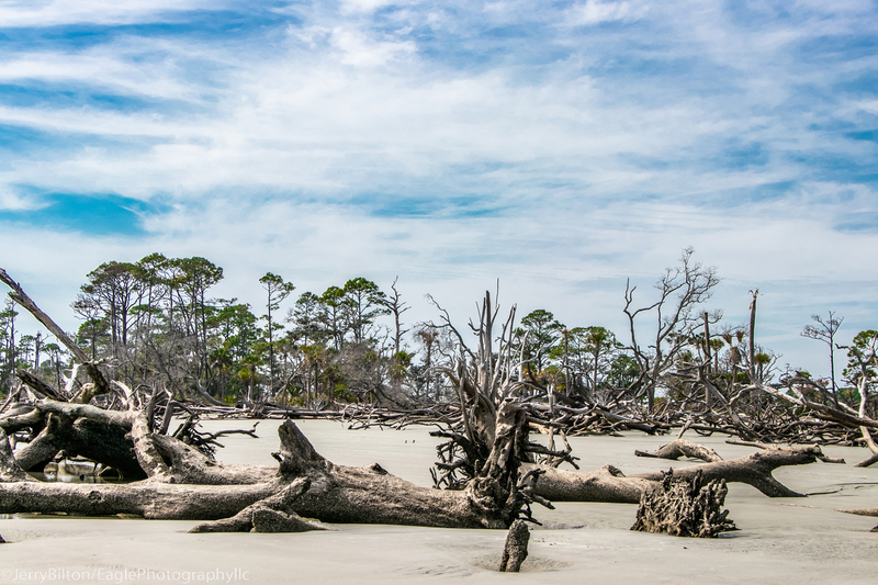 Boneyard at Huntington State Park-004.jpg