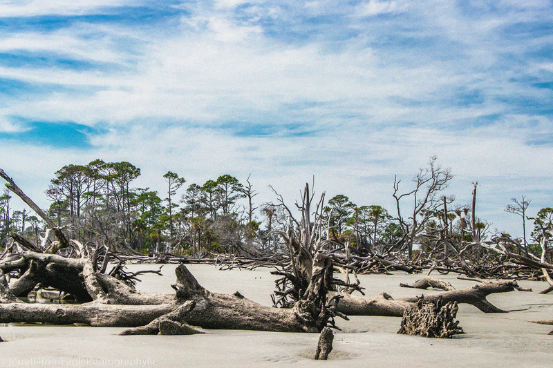 Boneyard at Huntington State Park-005.jpg