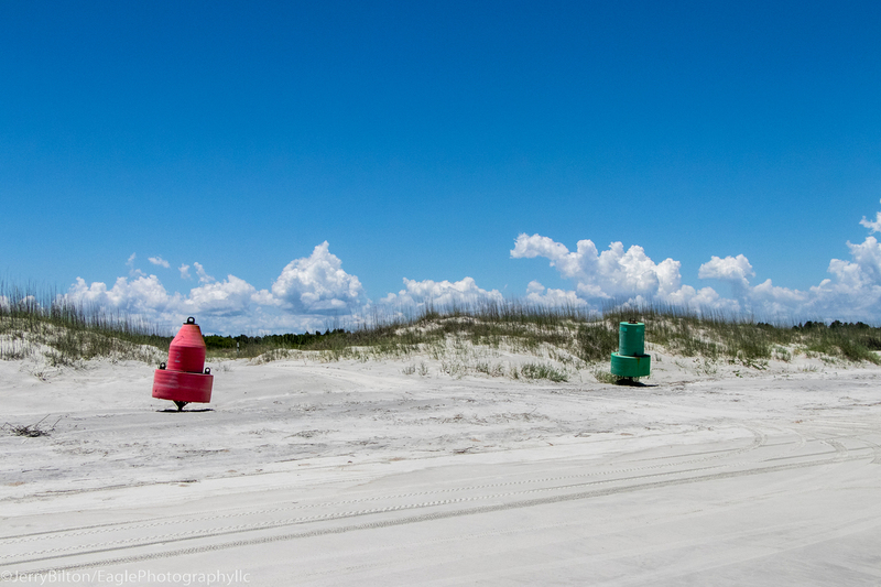 Cumberland Island Collection-GA-Returning to the Beach.jpg