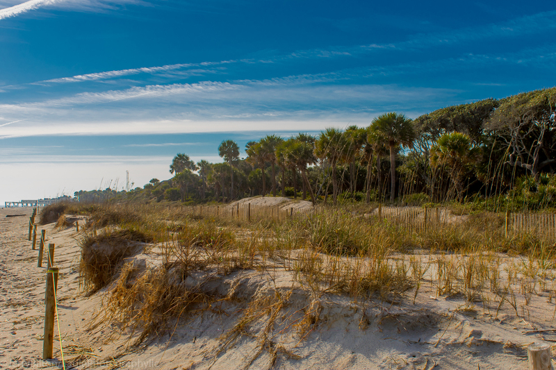 Dunes at Edisto Island State Park.jpg