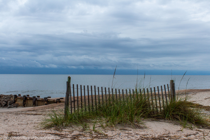 Fencing of the Beach.jpg