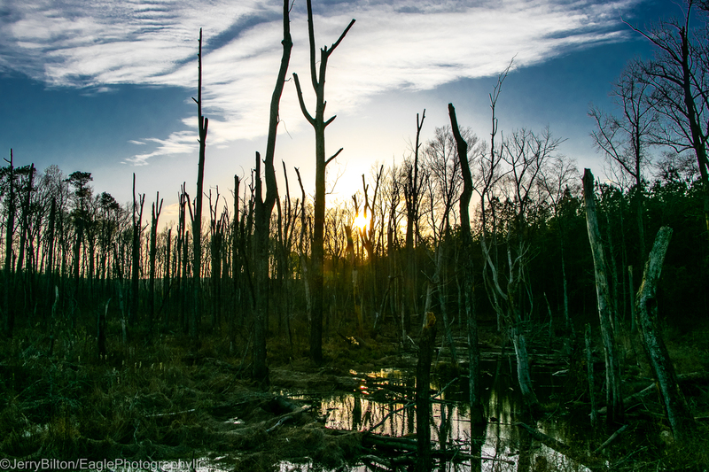 Late Afternoon Near The Bridge.jpg