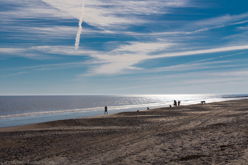 Late Afternoon at Edisto Beach.jpg