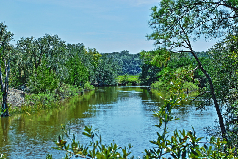 Low Country View.jpg