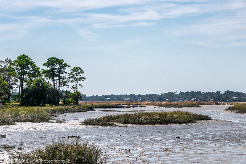 Low Tide at Huntington State Park-001.jpg