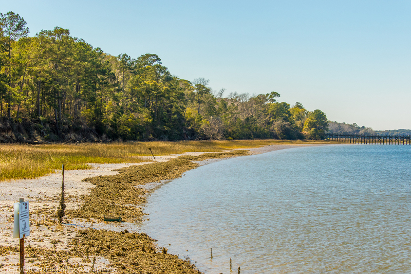 Low Tide at Pinckney Refuge.jpg