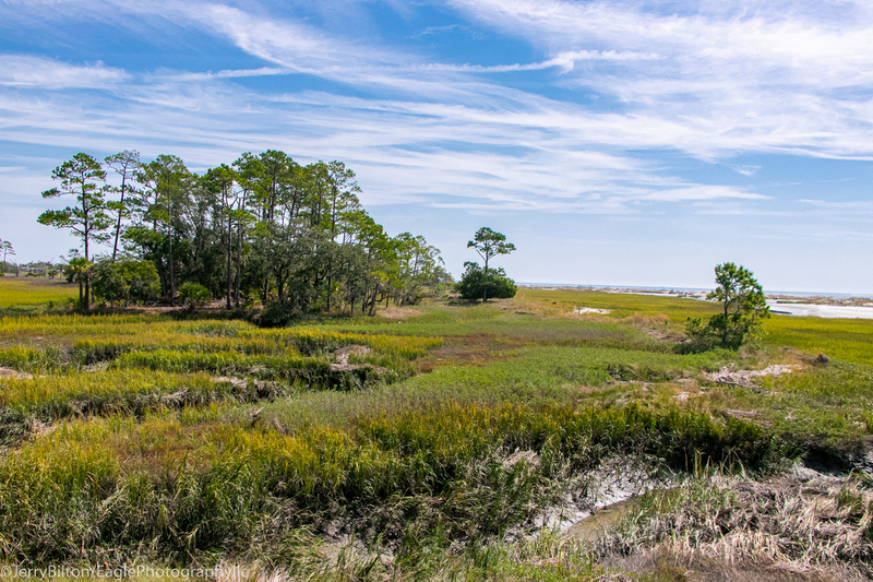Marsh at Huntington State Park-001.jpg