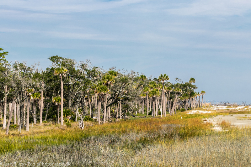 Marsh at Huntington State Park-002.jpg