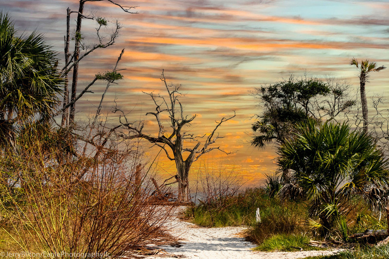 Pathway to the Boneyard-001.jpg