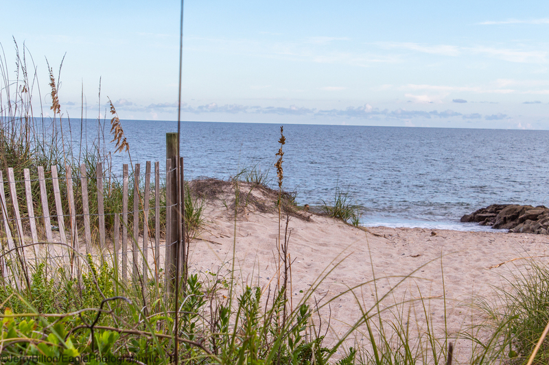 Pathway to the Edge.jpg