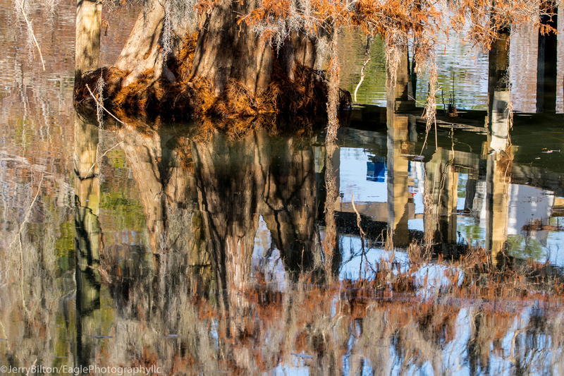 Reflections on the Lake.jpg