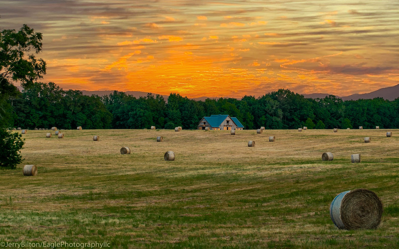 Rolling in the Hay-001.jpg