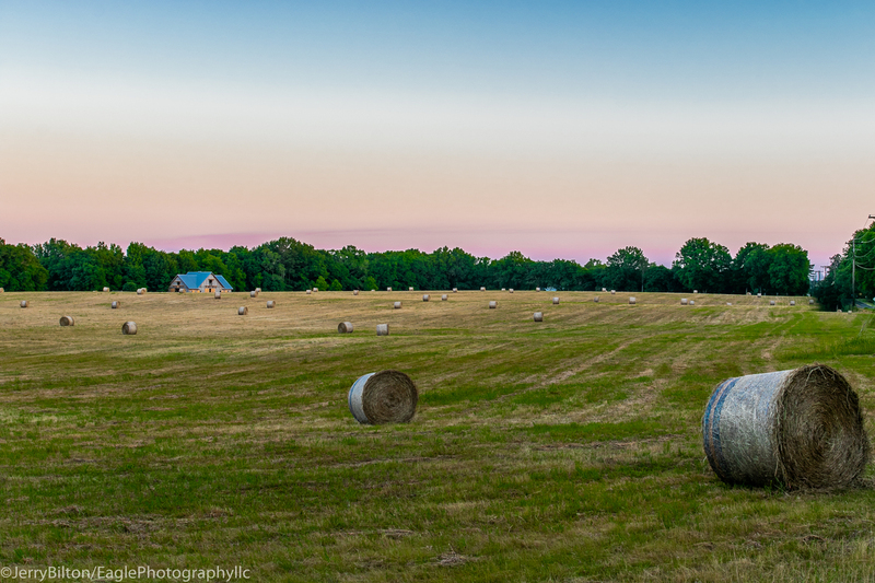 Rolling in the Hay-002.jpg