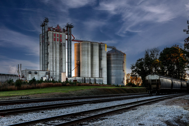 South Carolina Agriculture-Amick Farms Monetta.jpg