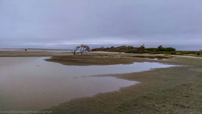 South End of Folly.jpg