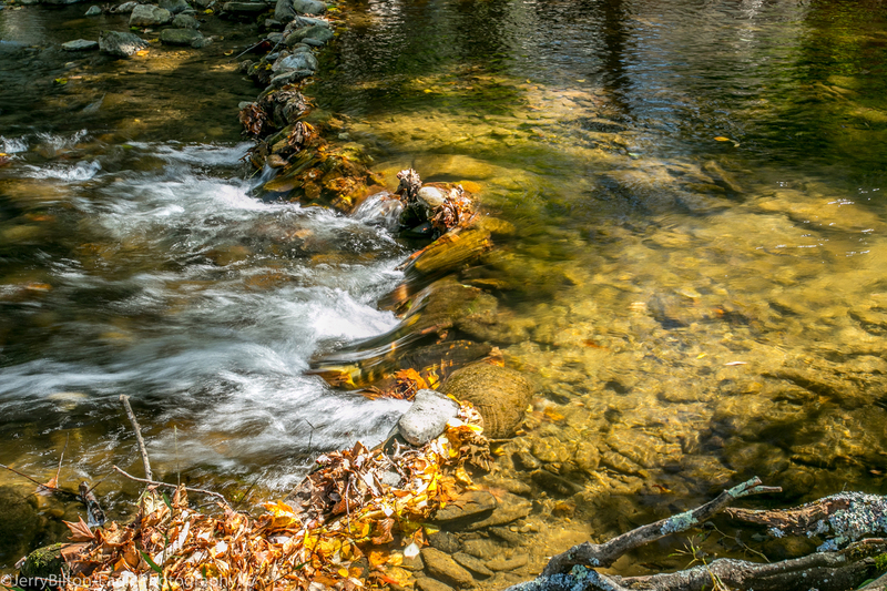 Stream near Cross Creek.jpg