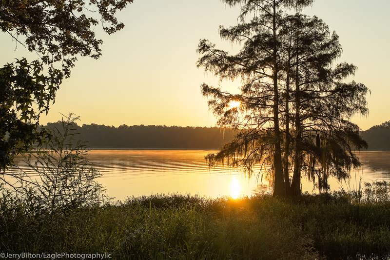Sunset at Taw Caw.jpg