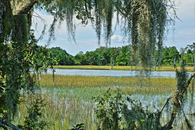 View of The Marsh.jpg