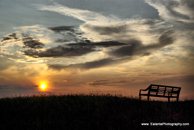 Heavenly Sunset Tuscany metal 13x16 250.00.jpg