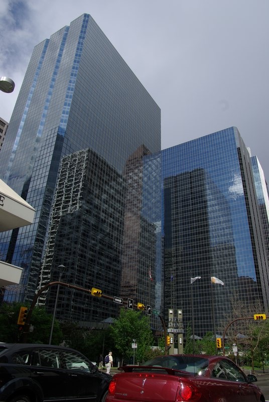 IMGP9161.jpg